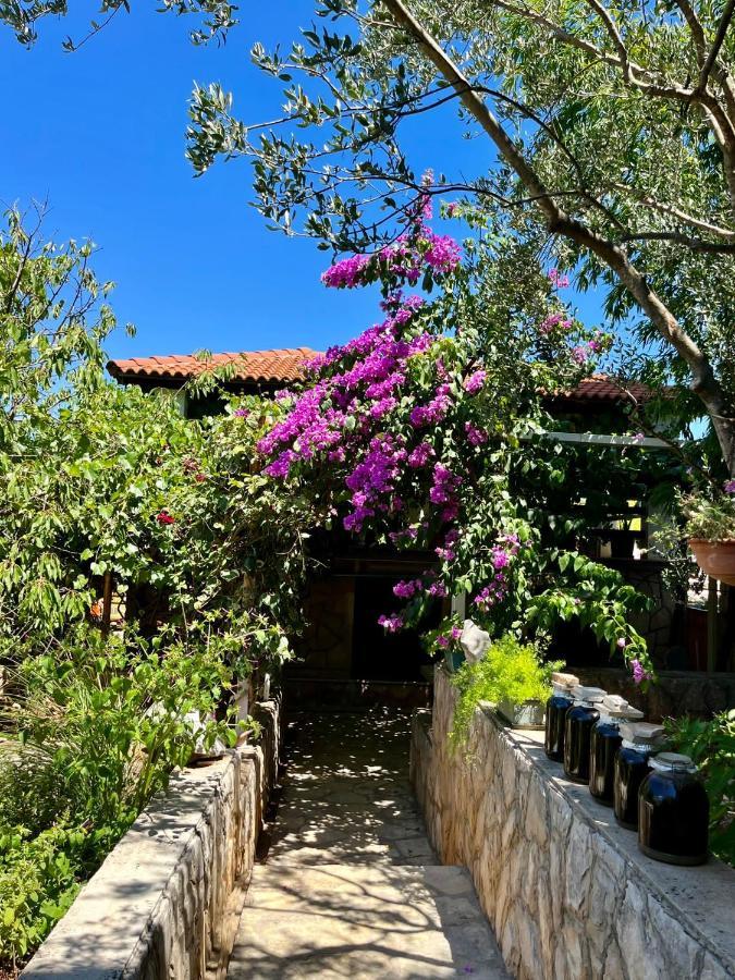 Gorana Apartman With Swimming Pool Apartment Jelsa  Exterior photo